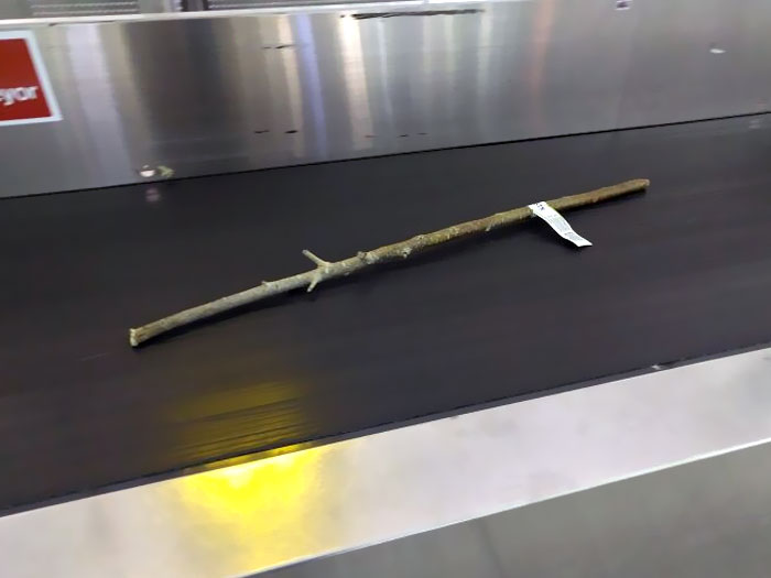 Someone Checked In A Stick At The Airport