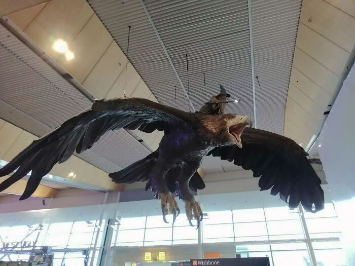 Aeropuerto en Nueva Zelanda