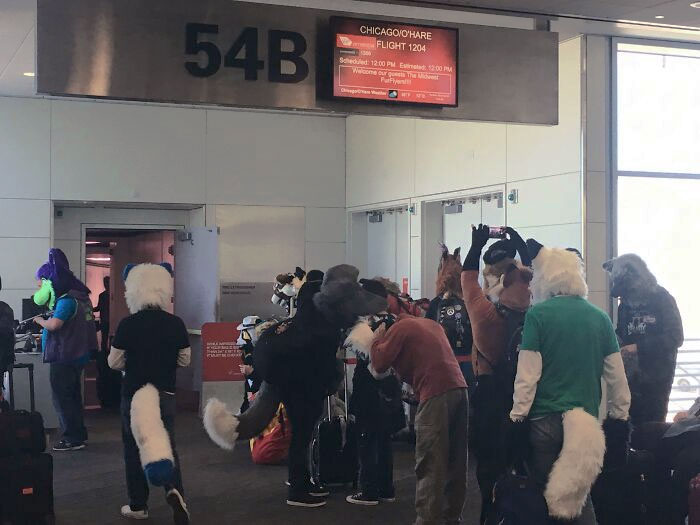 Al parecer voy a viajar en un vuelo lleno de furrys