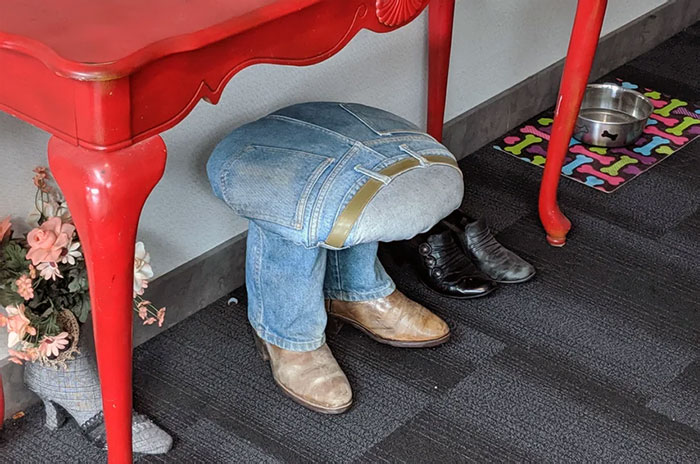 This Step Stool At My Local Airport's Shoe Shine Place