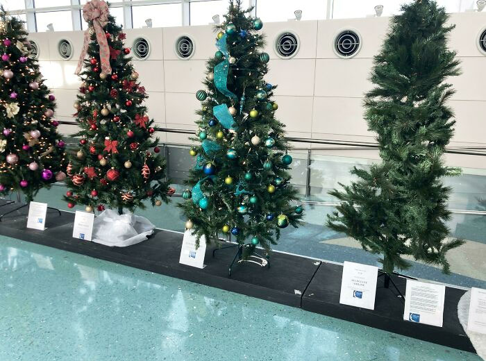 At Jacksonville International Airport, Each Airline Decorated A Tree. Had To Laugh At The Effort Allegiant Put Into Theirs