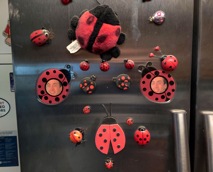 One Year Ago Today I Replaced The Stock Photos In These Lady Bug Magnets At My Mom's House With Pictures Of Nicolas Cage. She Still Hasn't Noticed