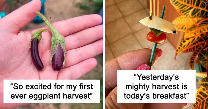 77 Times People Got Into The Spirit Of Gardening But Failed To Get A “Mighty Harvest” (New Pics)