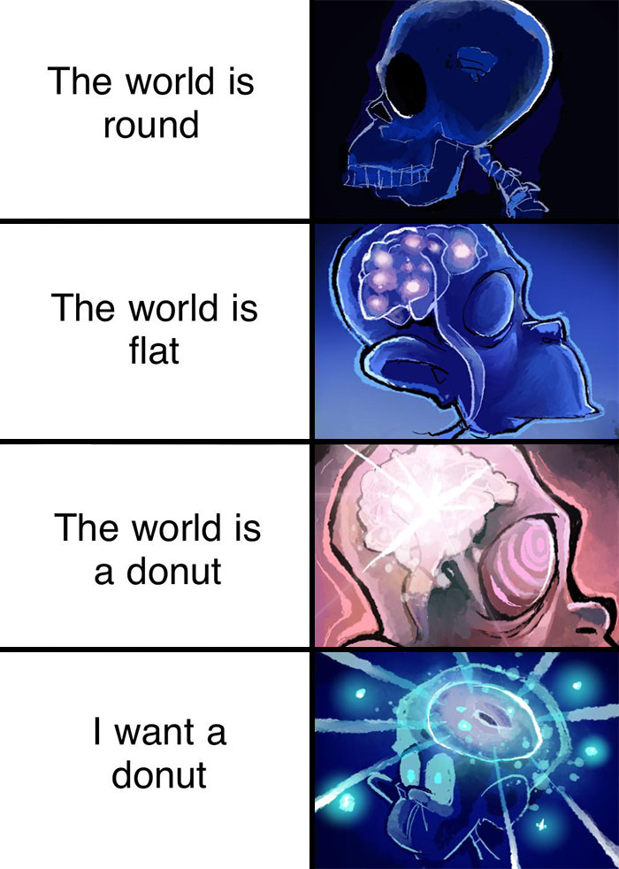 A series of four panels depicting different states of a person's mind. Panel one shows a simple skull with the text, "The world is round." Panel two shows a brain inside the skull with the text, "The world is flat." Panel three shows a glowing brain with intricate patterns and the text, "The world is a donut." Panel four shows an enlightened brain with cosmic elements and the text, "I want a donut."