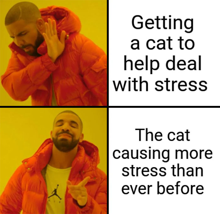 A two-panel image featuring Drake. In the top panel, Drake is shown rejecting the idea with his hand raised and the text, "Getting a cat to help deal with stress." In the bottom panel, Drake is shown approving with a satisfied expression and the text, "The cat causing more stress than ever before."