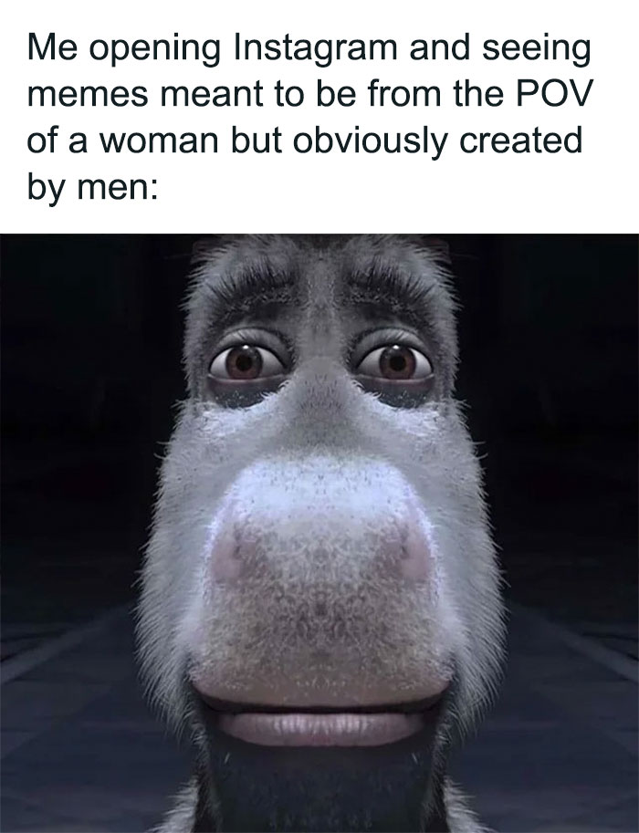 A close-up of Donkey from "Shrek" with a neutral expression. The text above the image reads, "Me opening Instagram and seeing memes meant to be from the POV of a woman but obviously created by men:"