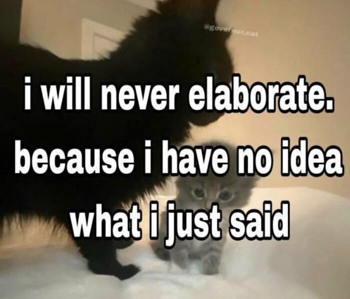 Funny-Memes-Cats-That-Are-Literally-Me