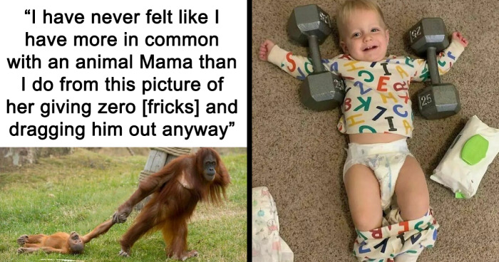 76 Memes For Moms To Laugh Through Their Struggles Together