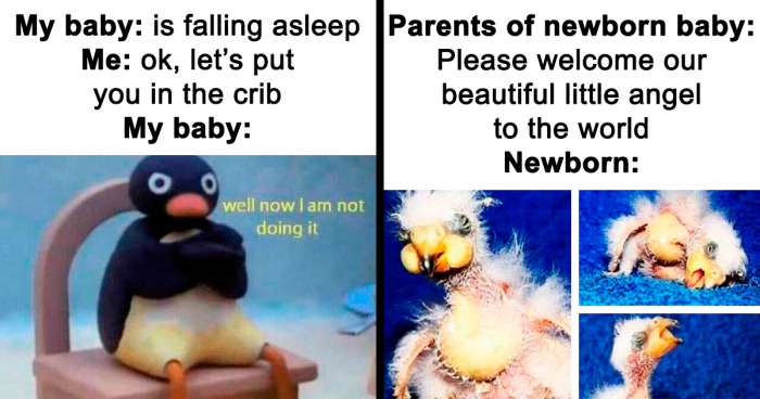 100 Funny And Relatable Memes That Perfectly Sum Up Life As A New Parent