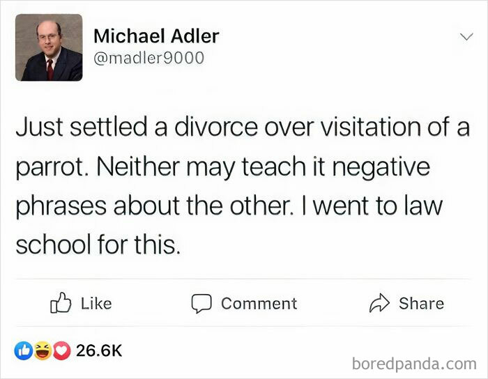 Not A Birb Divorce But Fighting Over Birb Visitation In A Human Divorce