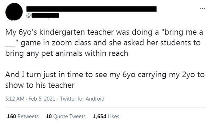 Teacher Asked Her Students To Bring Any Pet Animal Within Reach