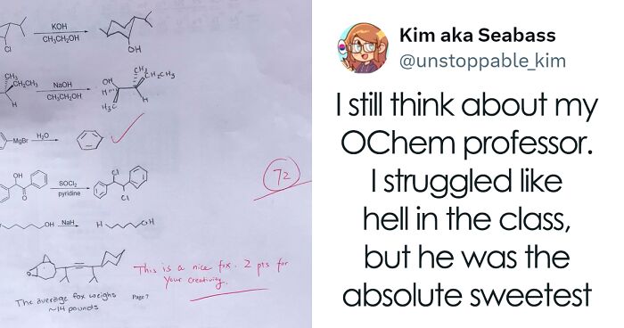 99 Teacher-Student Interactions That Cracked People Up Online