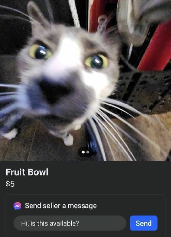 Fruit Bowl