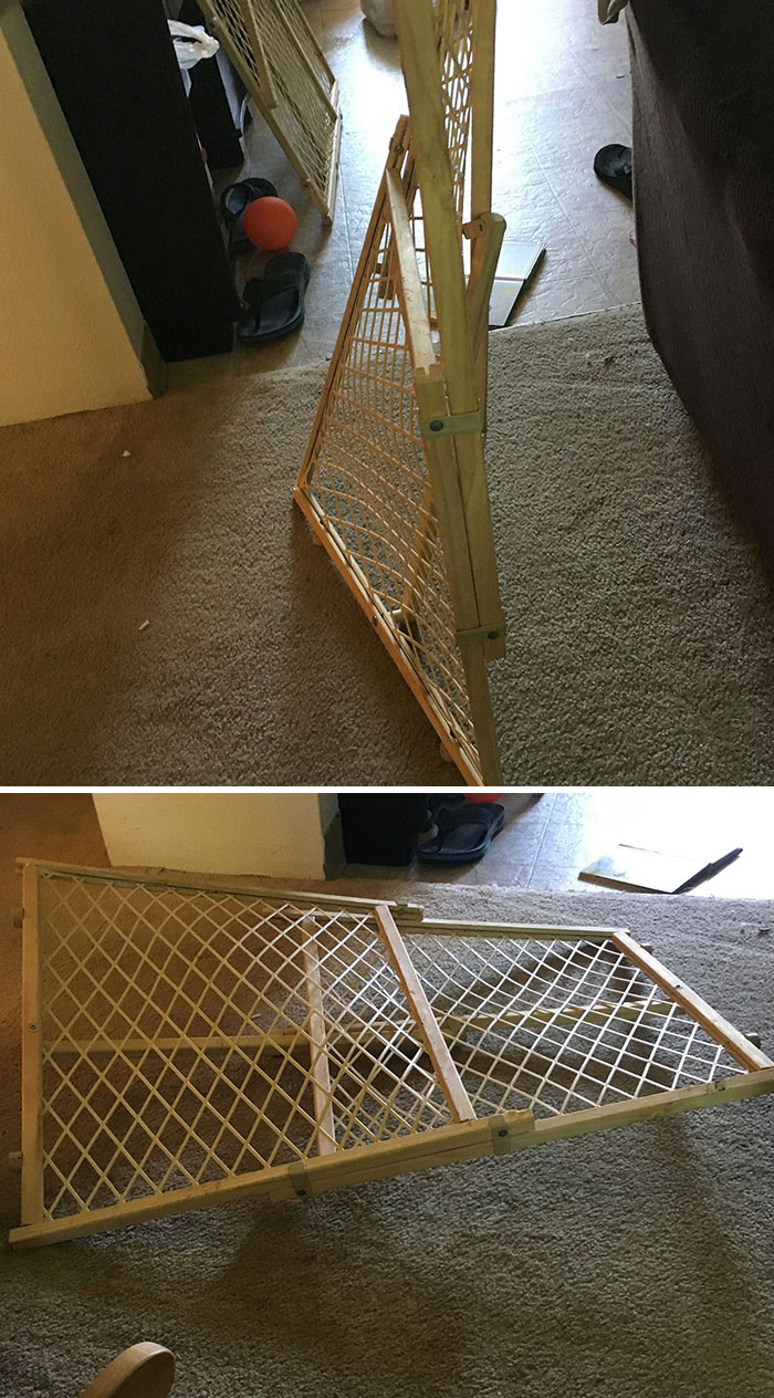 Wife's Been Home For 5 Minutes And Has Already Tripped Over And Broken The Baby Gate