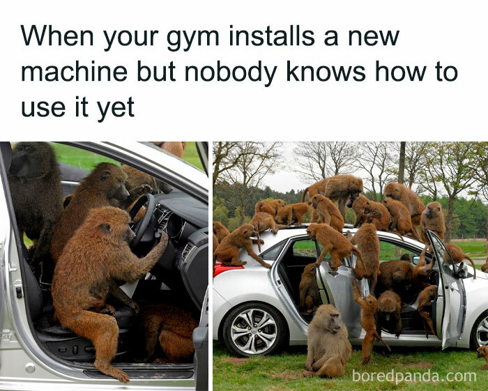 Gym-Memes-Fail-Nation