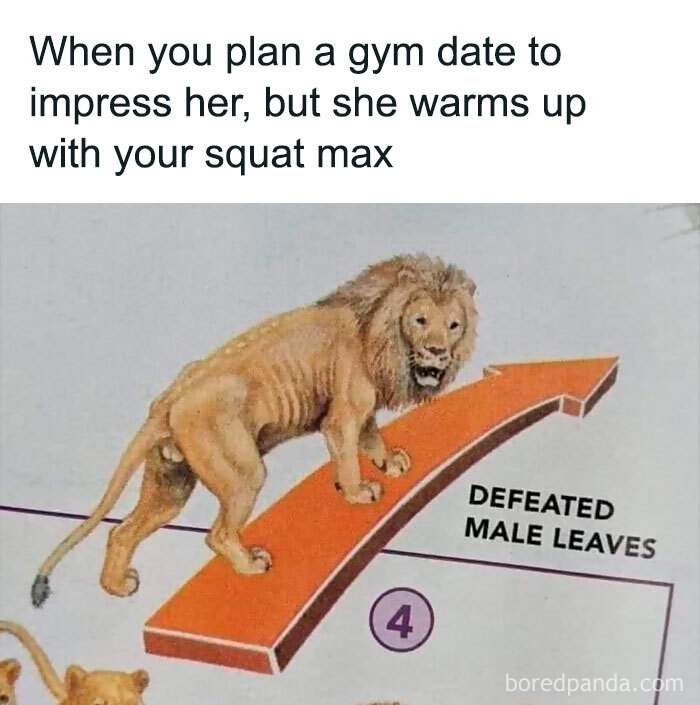 Gym-Memes-Fail-Nation