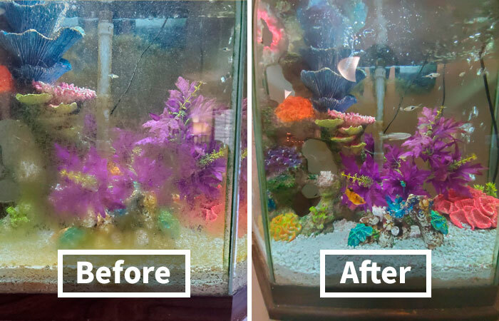  Aquarium Algae Cleaning Magnets: No More Wet Sleeves Or Reaching Into Your Tank!