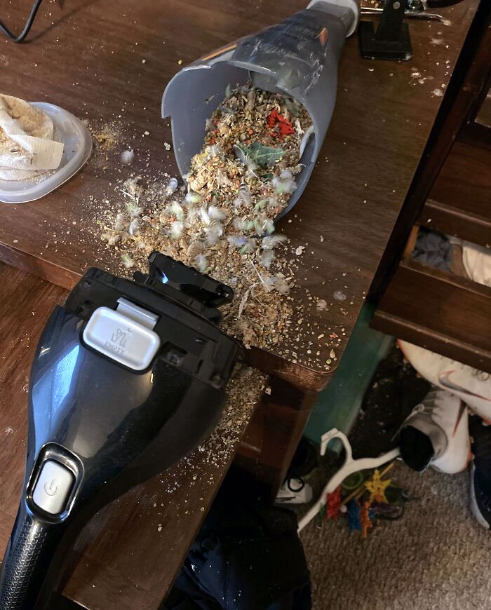 My Handheld Vacuum Opened In The Middle Of Cleaning