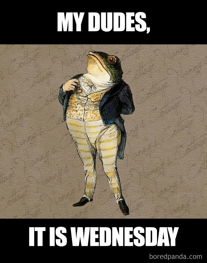 An illustration of Sir Toad frog dressed in an elegant suit, standing upright with a confident pose. The text above the image reads, "MY DUDES," and the text below the image reads, "IT IS WEDNESDAY."