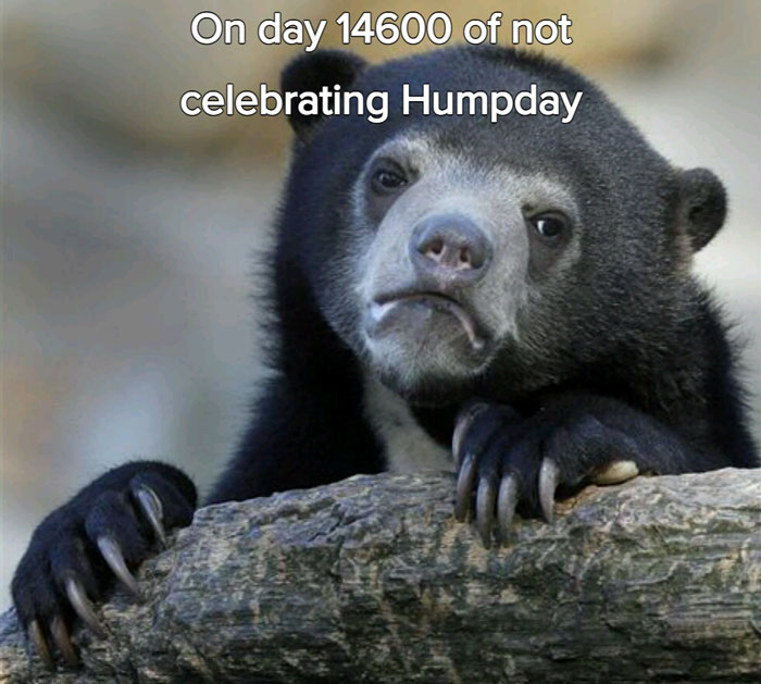 A bear with a solemn expression rests its paws on a log with the text above it saying, "On day 14600 of not celebrating Humpday."