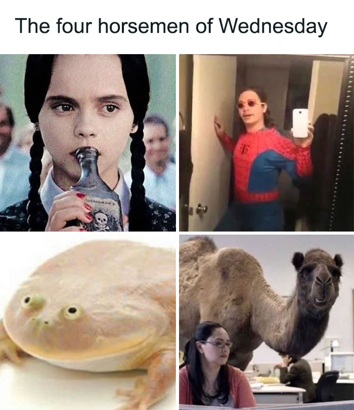 A four-panel image labeled "The four horsemen of Wednesday." The top left panel shows Wednesday Addams drinking from a bottle. The top right panel shows a person in a Spider-Man costume taking a mirror selfie. The bottom left panel shows a frog with a flat face. The bottom right panel shows a camel standing in an office next to a woman working at a desk.