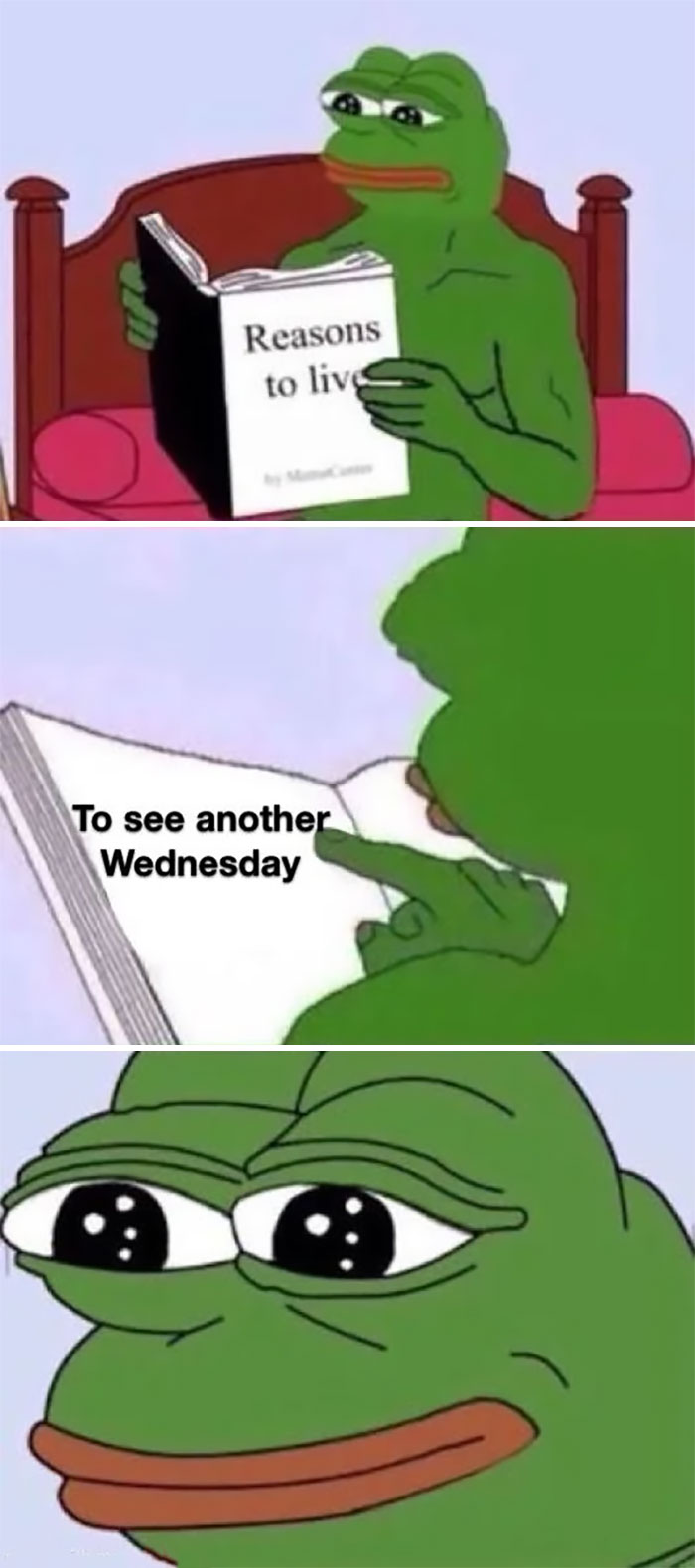 A three-panel image featuring Pepe the Frog. In the top panel, Pepe is sitting on a bed reading a book titled "Reasons to live." In the middle panel, a close-up of the book shows the text, "To see another Wednesday." The bottom panel shows Pepe with a tearful, happy expression.