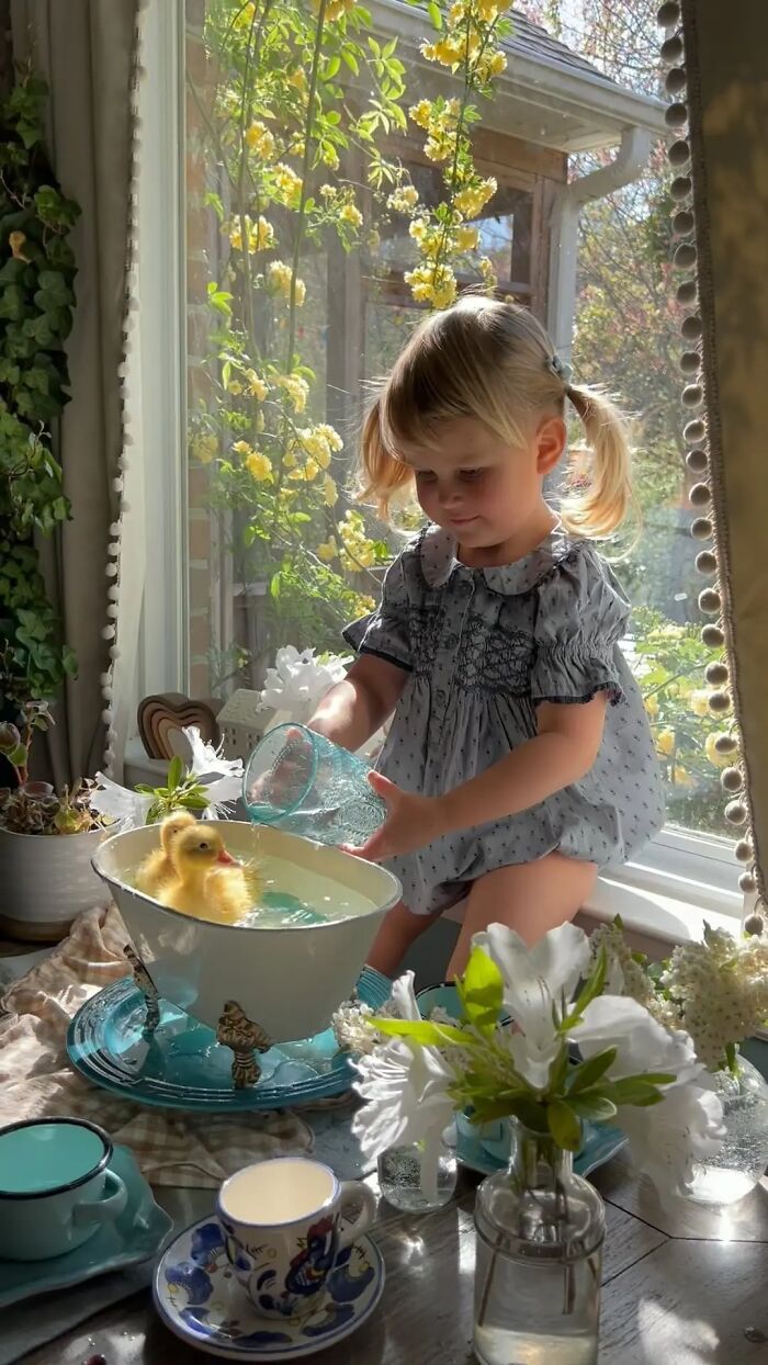 Woman Captures The Unconditional Love Between Her 3-Year-Old Daughter And Baby Ducklings