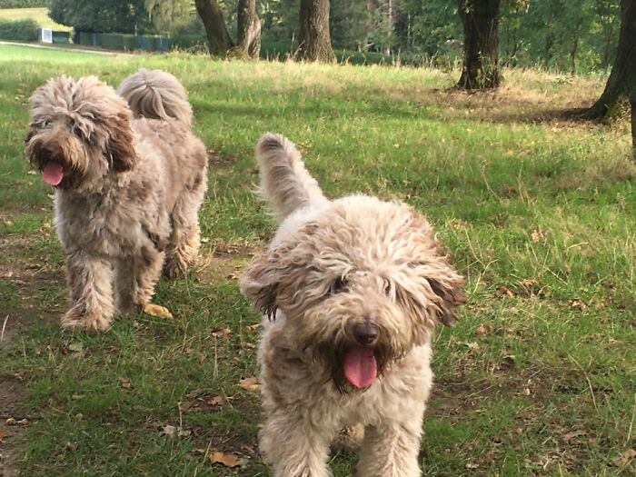 Two Sisters Having Fun