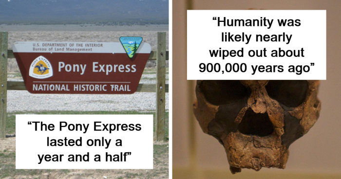 60 Interesting Facts From History That You May Not Find In Textbooks