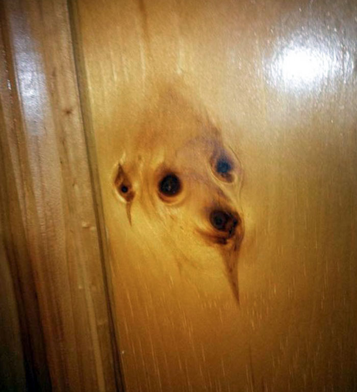 The Spirit Of A Dog Reincarnated As A Door