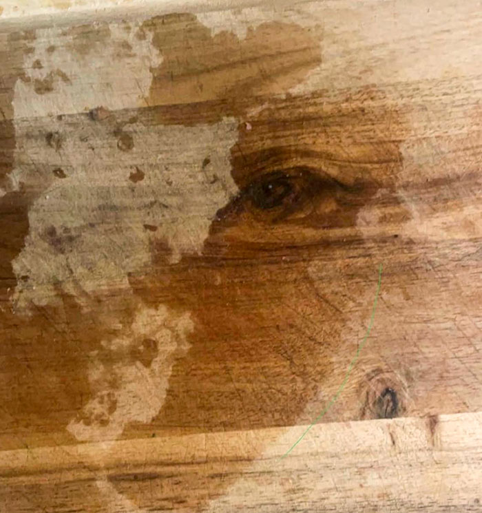 Eye In A Wood