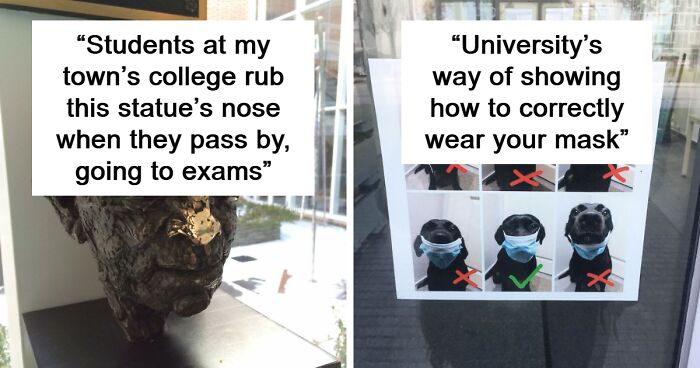 119 Times Schools And Teachers Went Above And Beyond To Make Education Less Boring (New Pics)