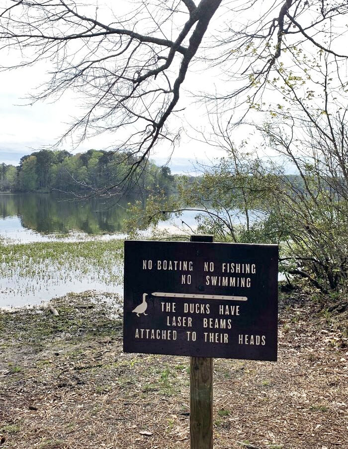 This Sign Near A Lake