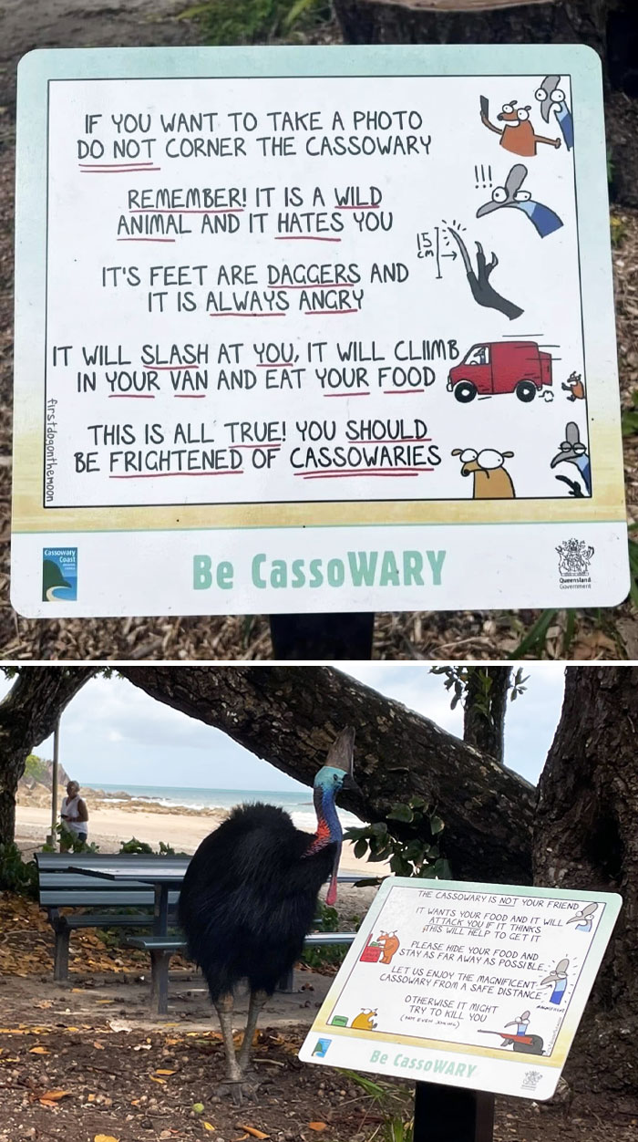 Cassowary Warning Signs In Far North Queensland