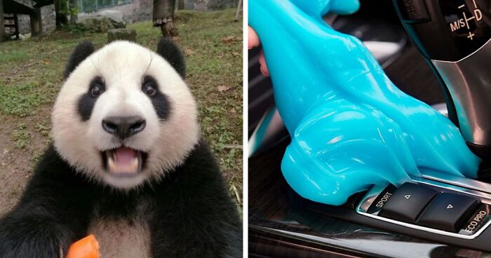 Prime Day Haul: The Definitive List Of The 21 Most Popular Products For Pandas