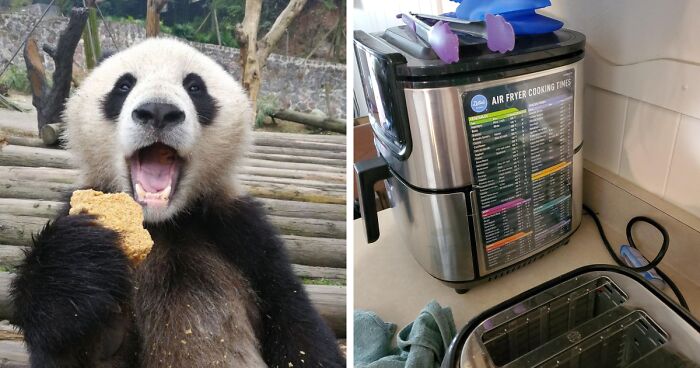 29 Products That Pandas Couldn’t Keep Their Paws Off Last Month