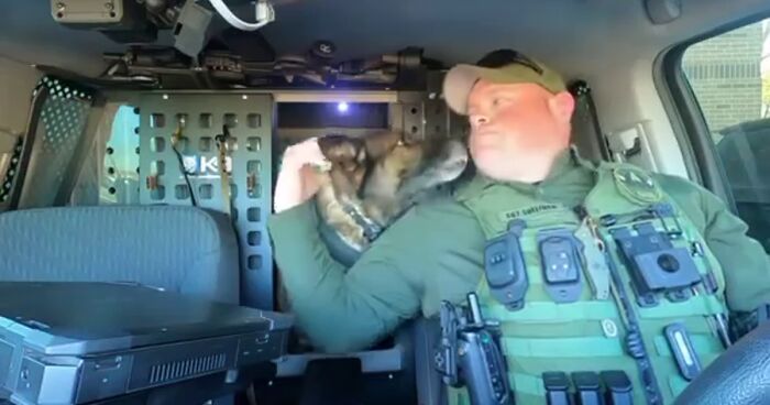 “Canine Indy, You Are 10-42 For The Final Time”: Touching Video Of Decorated K9 Retiring Goes Viral