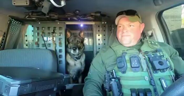 Police Dog Retires After Nearly A Decade Of Service, Heartwarming Video Is Spreading Online