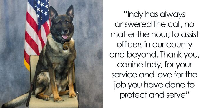 Police Dog Retires After Nearly A Decade Of Service, Heartwarming Video Is Spreading Online