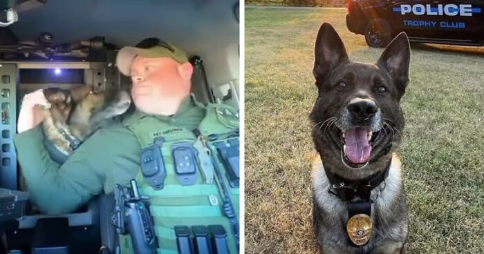 Police Officer Can Barely Hold Back His Tears As His K9 Partner Retires After 9 Years Of Service