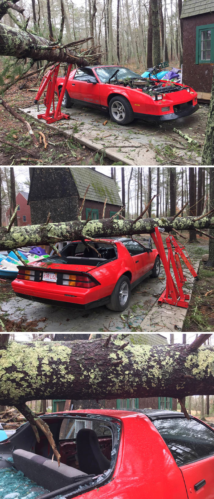 Kenny Viera Is One Lucky Dude! His Engine Hoist Saved His Project Car From Being Completely Totaled By A Fallen Tree During A Storm