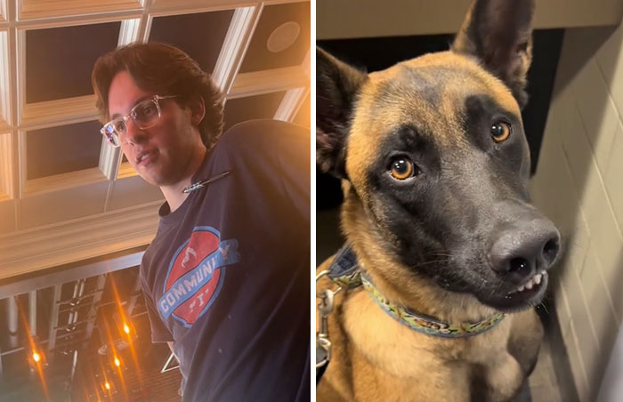 “Isn’t That Like A $60K Fine?”: Customer At Restaurant Is Asked To Leave As He Has Service Dog