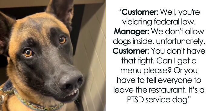 “Isn’t That Like A $60K Fine?”: Customer At Restaurant Is Asked To Leave As He Has Service Dog