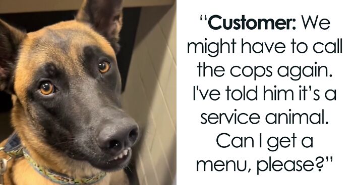 Patron With Service Dog Kicked Out By Restaurant Manager, Sparks Online Debate Over Federal Law