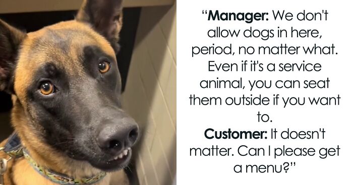 Restaurant Manager Tells Customer To Take His Service Dog Outside, Man Says The Law Is On His Side