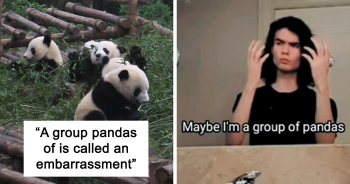 35 Memes About The Introvert Mindset That All Introverts Can Relate To