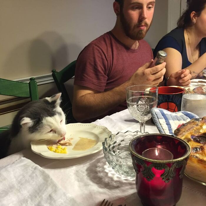 King Mordecai Katz Celebrated Every Holiday With Us At His Own Place At The Table. He Had Impeccable Manners