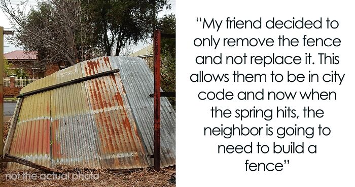 Person Reports Neighbors To The City Over A Fence, Ends Up Having To Build Their Own