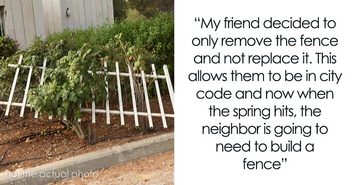 Person Can’t Use Their Pool With A Damaged Fence So They Report Their Neighbor And It Backfires