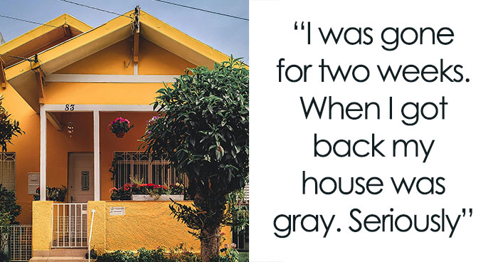 “Called The Police On Me”: Woman Shocked After Neighbors Paint Her House While She’s Away